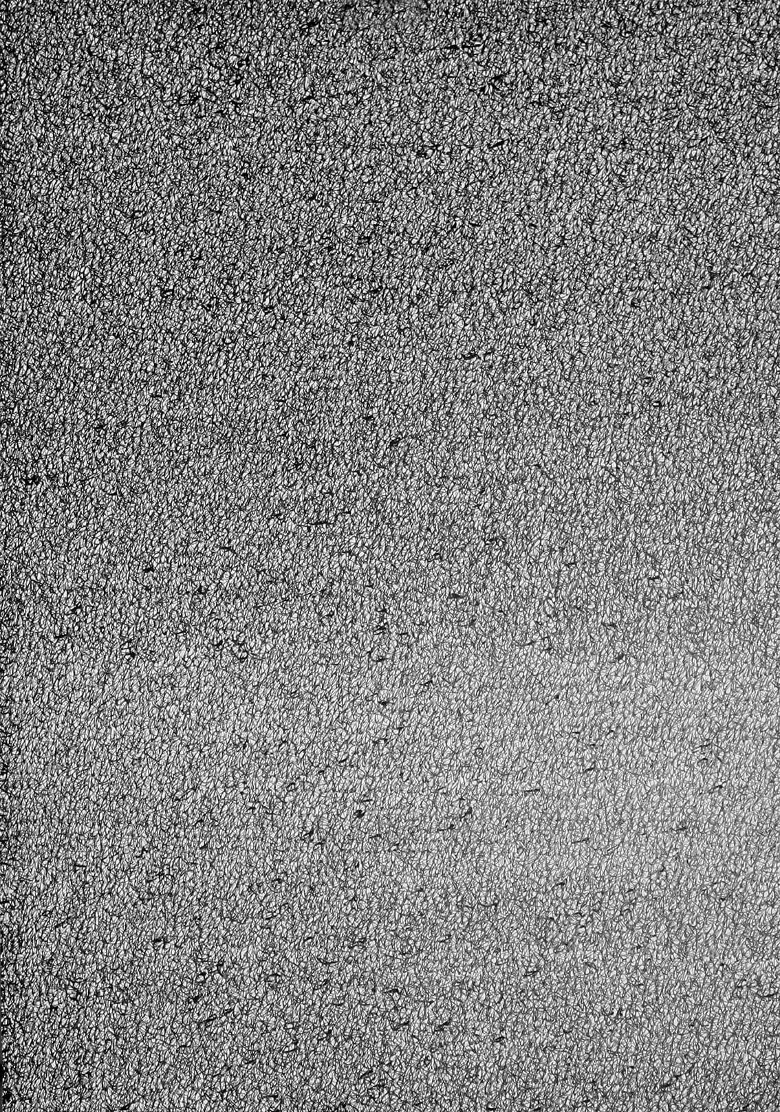 Art contemporain graffiti lyon